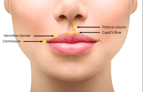 One of the key benefits of central lip lift is the ability to lift and define the Cupid's bow, creating a more attractive lip contour