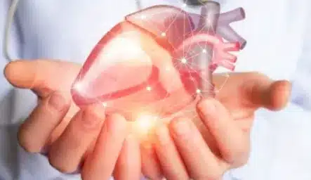 Cardiology and cardiothoracic surgery collaborate closely to develop comprehensive treatment plans for patients with complex cardiac disorders.